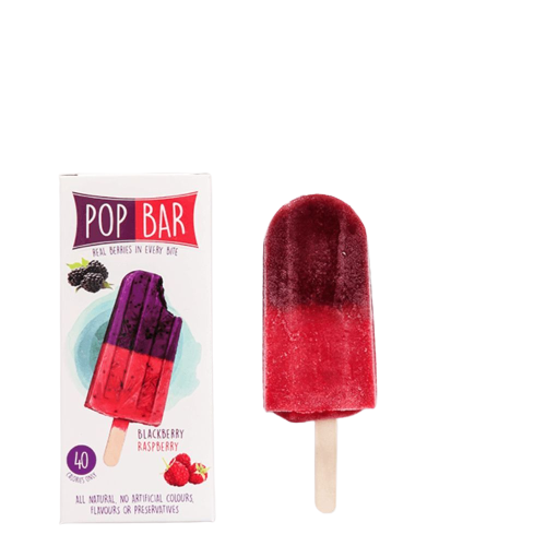 Wholesome Pop Bar Blackberry- Raspberry 80g