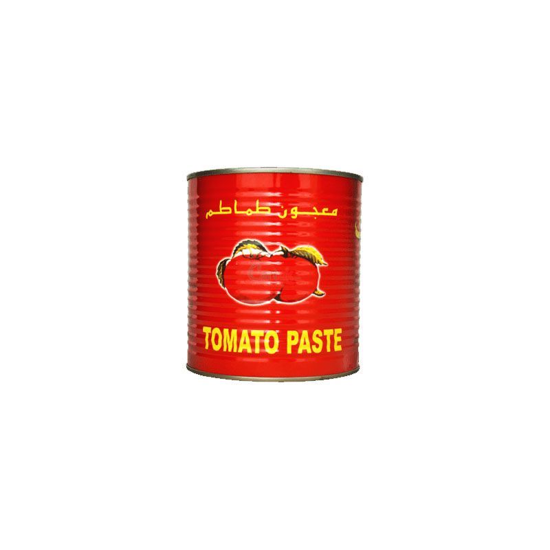 Fruitamins Tomato Paste 800g