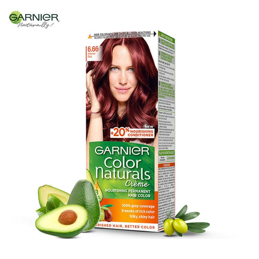 Garnier Color Naturals Hair Color Kit No 6.66 1 Box