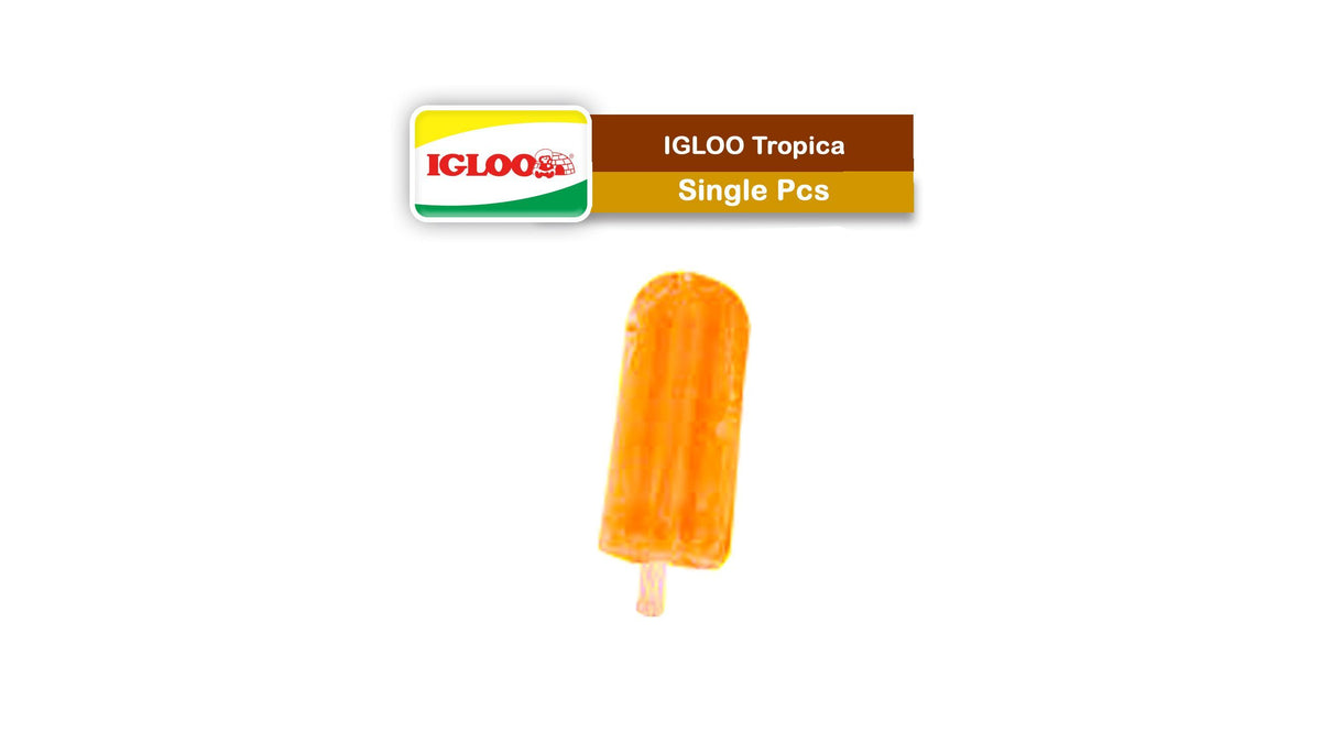 Igloo Tropical Ice Cream 1 Piece