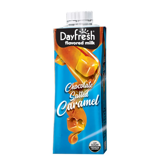 Dayfresh Salted Caramel Flavored Milk 225ml
