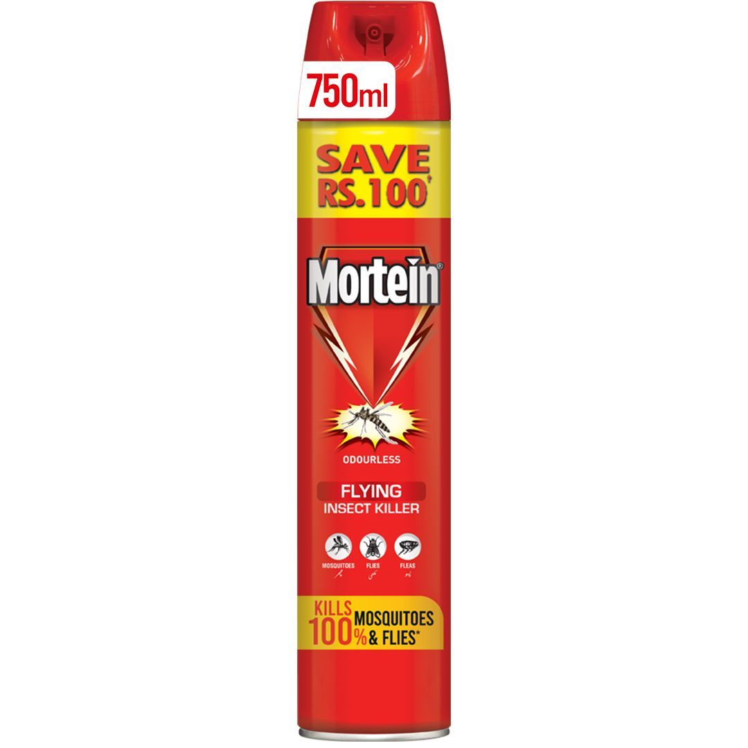 Mortein Insta Aerosol Flying Insect Killer 750ml