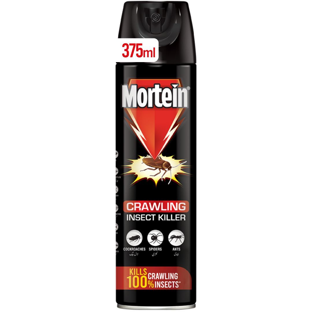 Mortein Insta Aerosol Crawling Insect Killer 375ml
