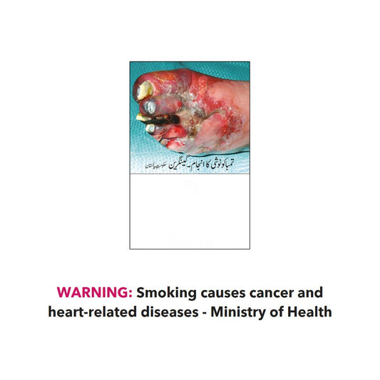 Red & White King Size Filter 1 Box