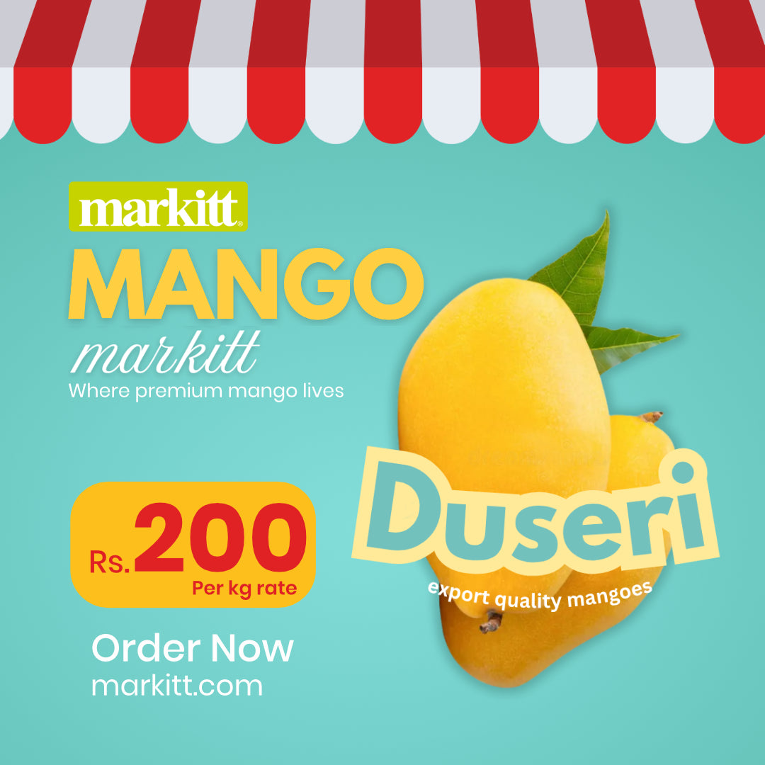 Fresh Duseri Mango Premium Quality