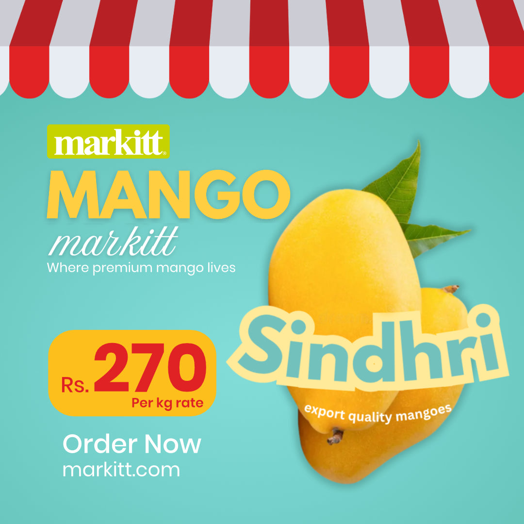 Fresh Sindhri Mango Premium Quality
