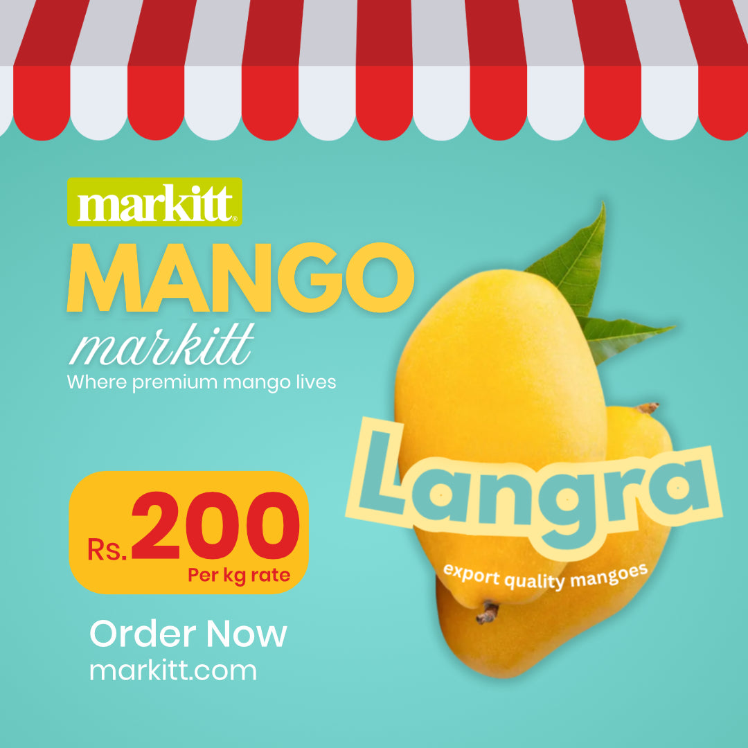 Fresh Langra Mango Premium Quality