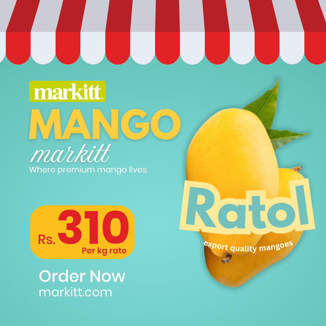 Fresh Anwar Ratol Mango Premium Quality